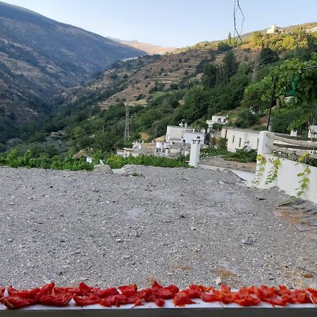 Casa Martina Pampaneira Διαμέρισμα Δωμάτιο φωτογραφία