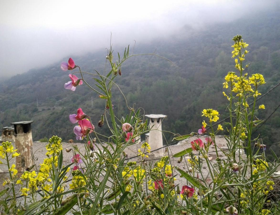 Casa Martina Pampaneira Διαμέρισμα Εξωτερικό φωτογραφία