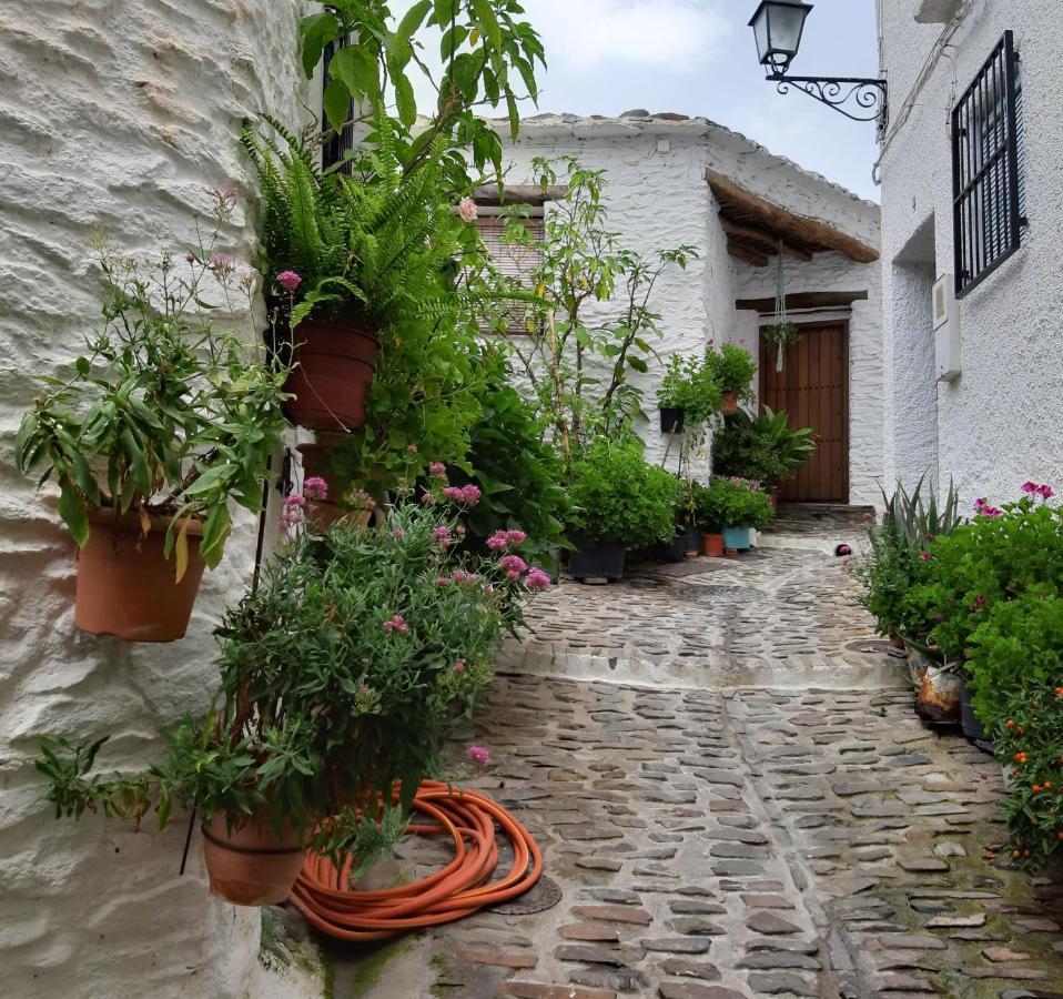 Casa Martina Pampaneira Διαμέρισμα Εξωτερικό φωτογραφία