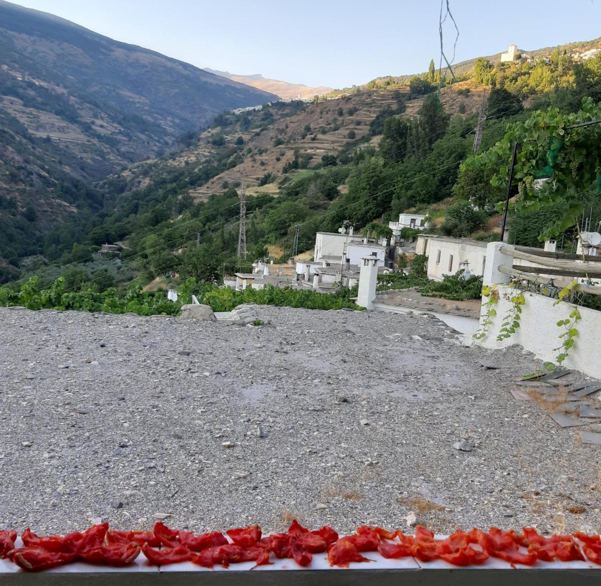 Casa Martina Pampaneira Διαμέρισμα Δωμάτιο φωτογραφία